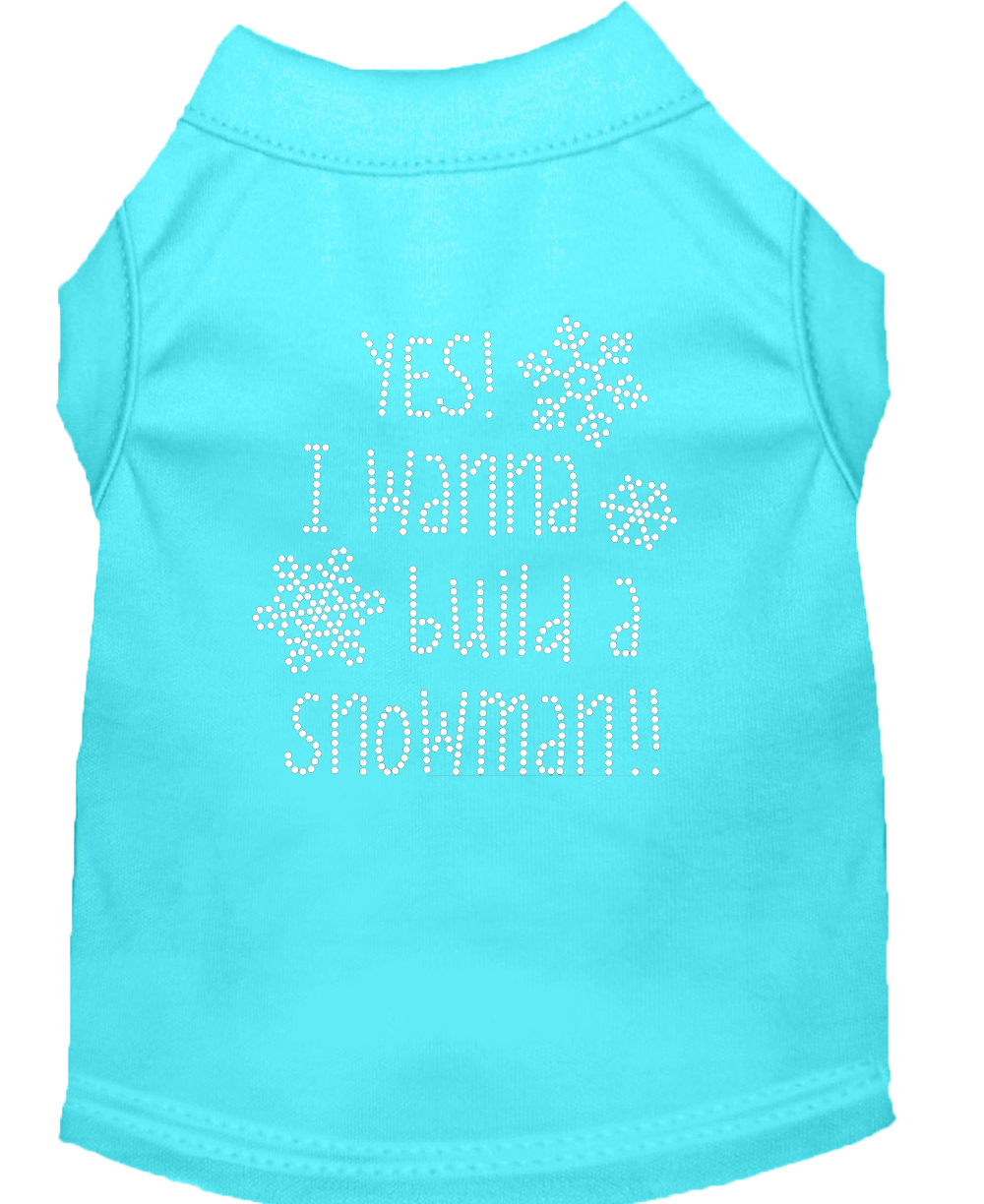 Yes! I want to build a Snowman Rhinestone Dog Shirt Aqua XXXL